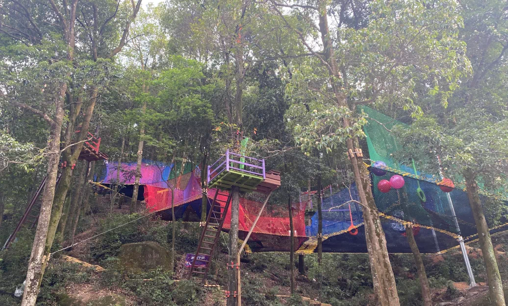 Project Case | Forest Adventure Experience: Tianzhu Mountain Leaping Through the Jungle